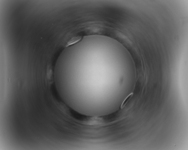 X0000088190087200705292021