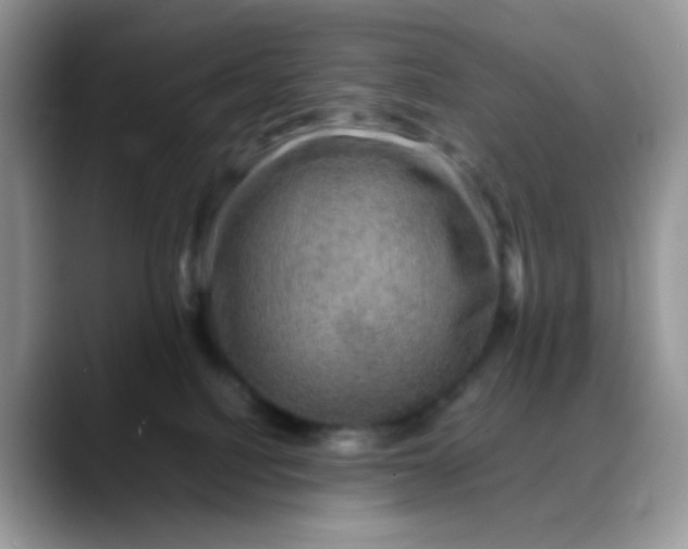 X0000088190088200705292021