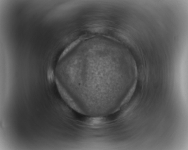 X0000088190089200705292021