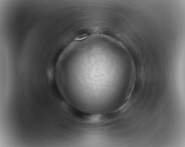 X0000088190090200705292021