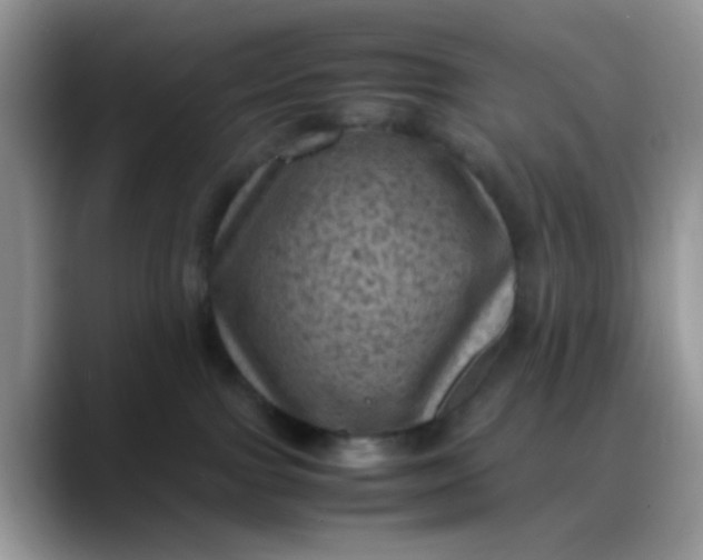 X0000088190091200705292021
