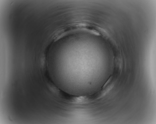 X0000088190092200705292021