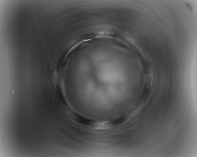 X0000088190093200705292021