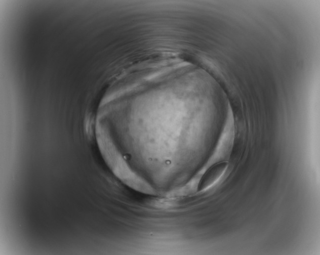 X0000088190094200705292021