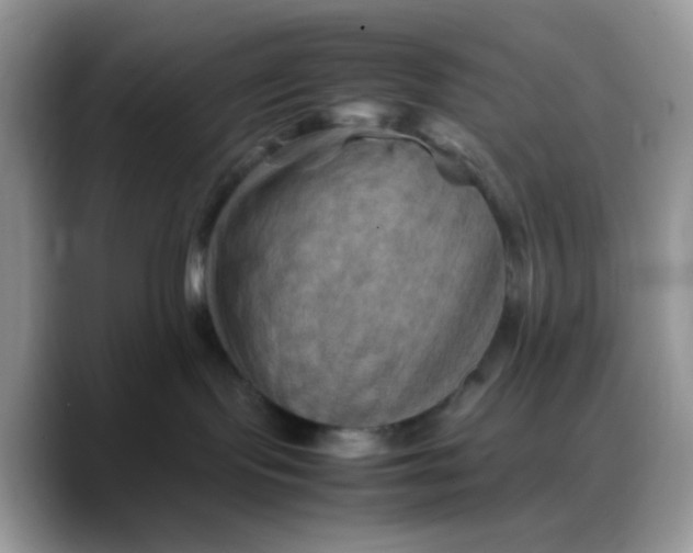 X0000088190095200705292021