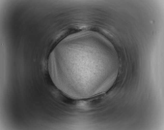 X0000088190096200705292021