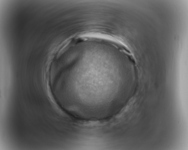 X0000088190097200705292020