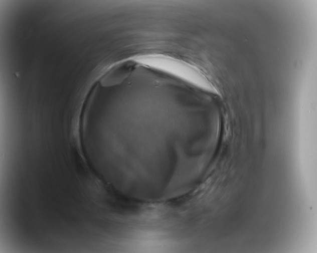 X0000088190099200705292020