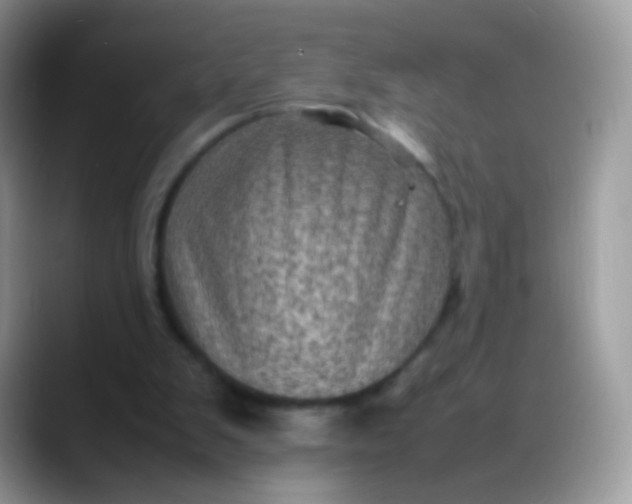 X0000088190103200705292020
