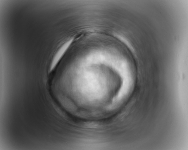 X0000088190105200705292020