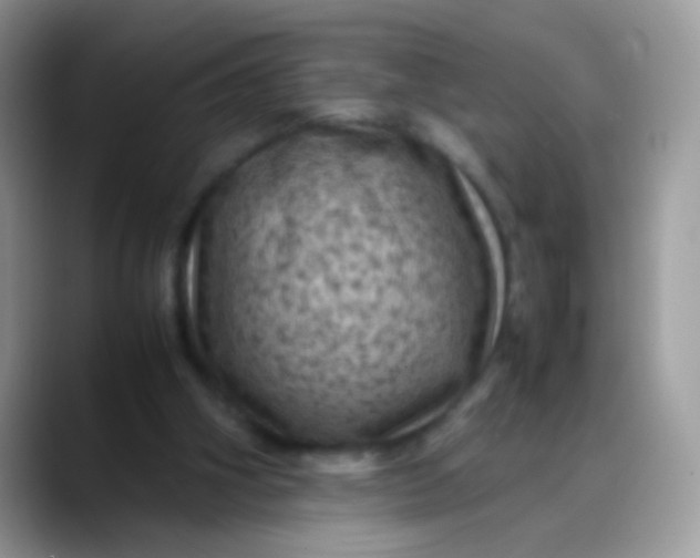 X0000088190106200705292020