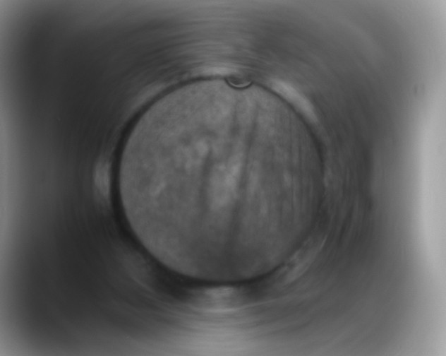 X0000088190108200705292020