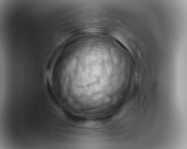 X0000088190109200705292020