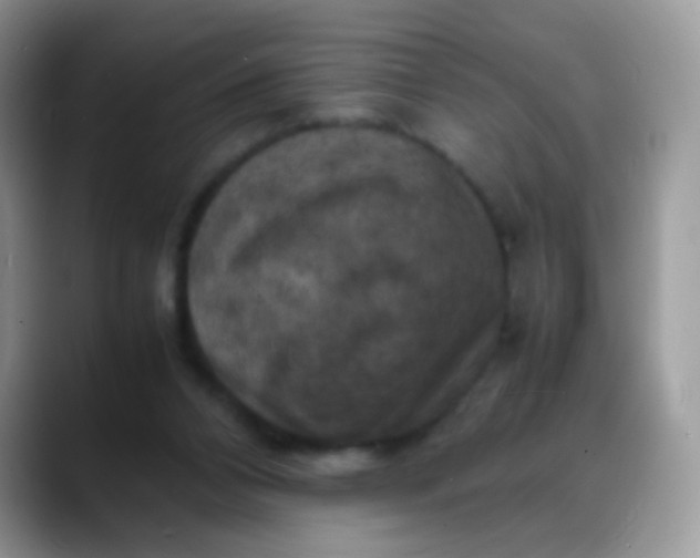 X0000088190112200705292020