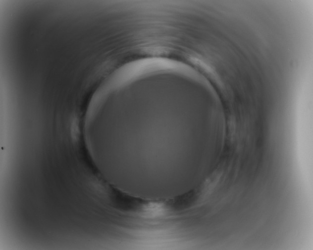 X0000088190114200705292020