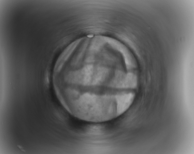 X0000088190115200705292020