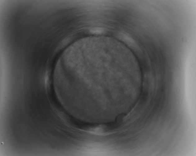 X0000088190116200705292020