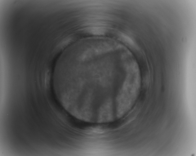 X0000088190120200705292020