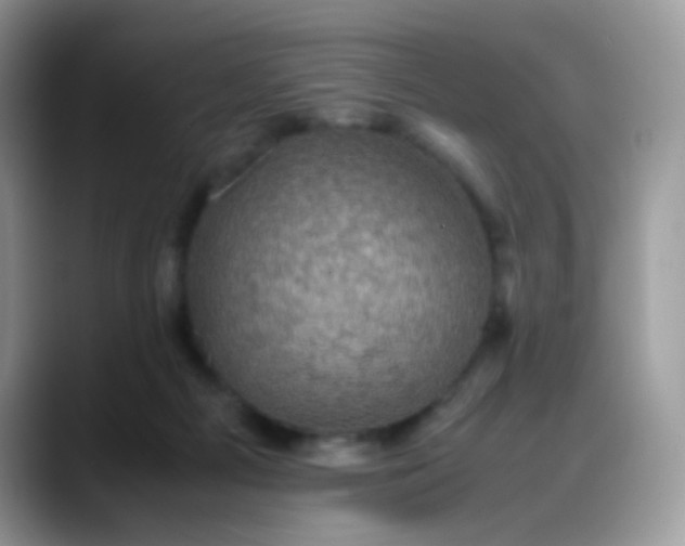 X0000088190121200705292020