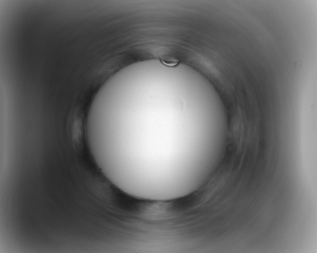 X0000088190122200705292020