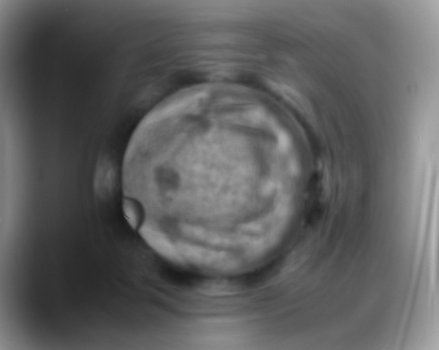 X0000088190123200705292020