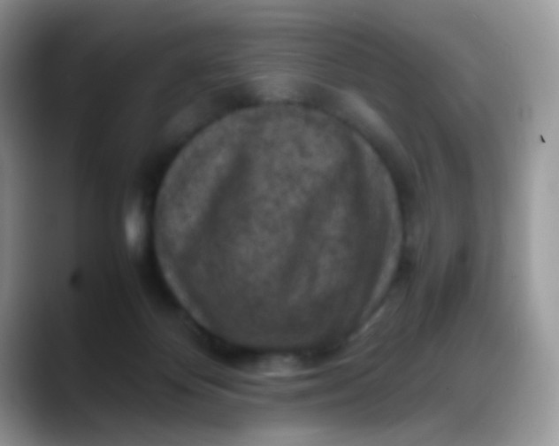 X0000088190124200705292020