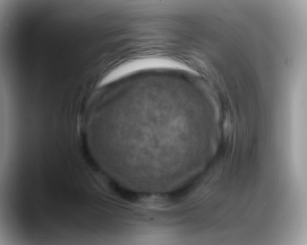 X0000088190125200705292020