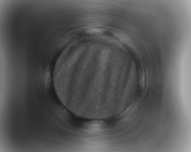 X0000088190128200705292020