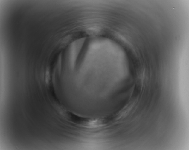 X0000088190130200705292020