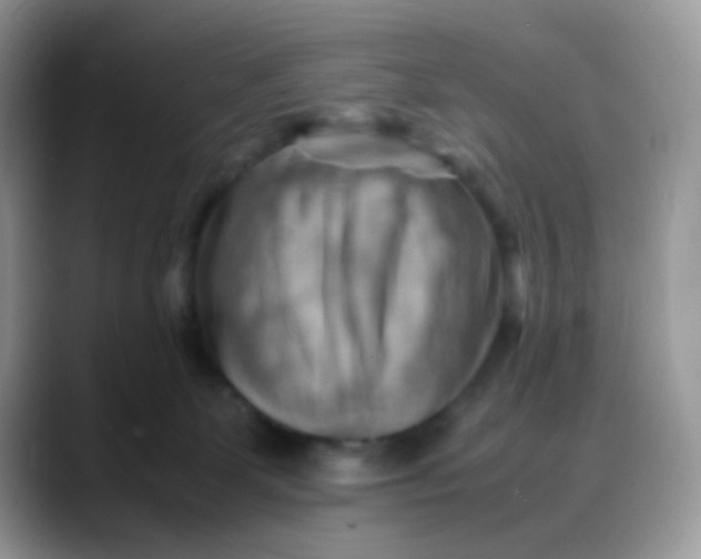 X0000088190131200705292020