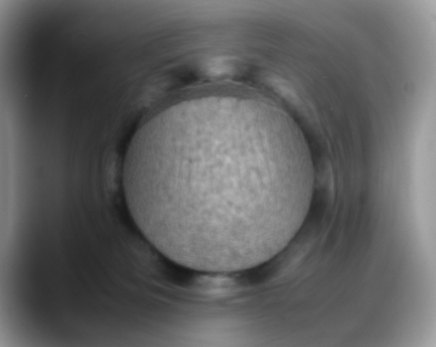 X0000088190133200705292020