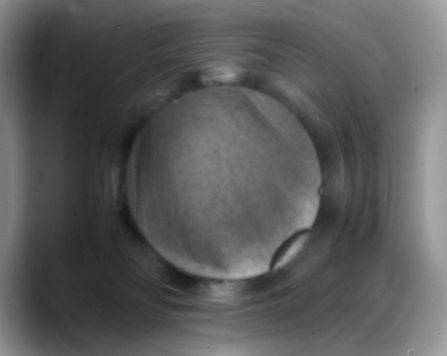 X0000088190134200705292020