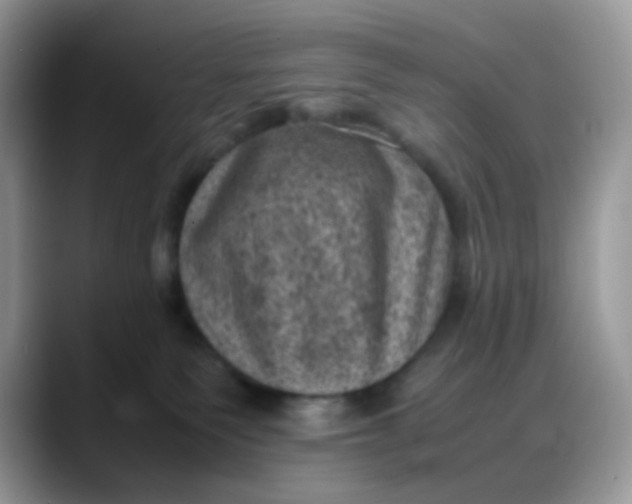 X0000088190135200705292020
