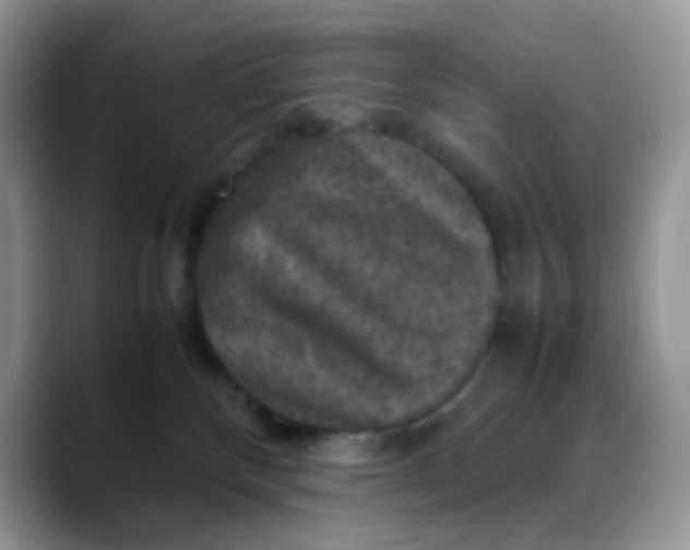 X0000088190136200705292020