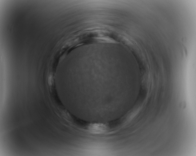 X0000088190137200705292020