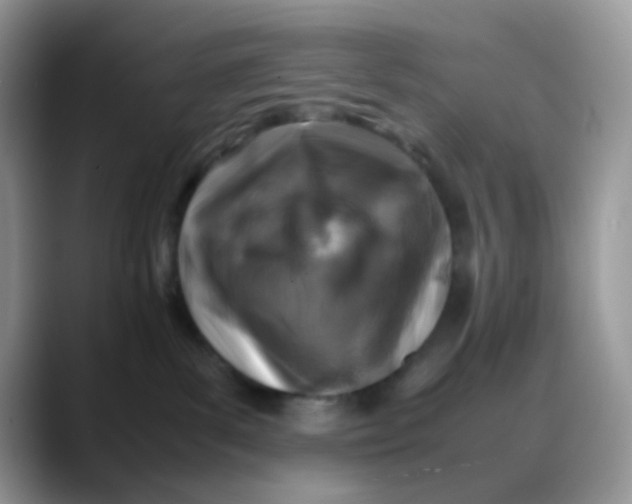 X0000088190139200705292020
