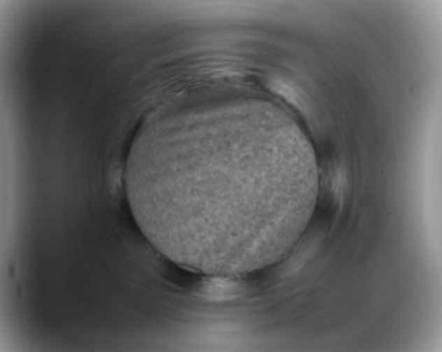 X0000088190141200705292020