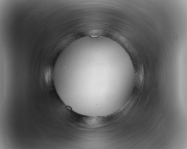 X0000088190142200705292020