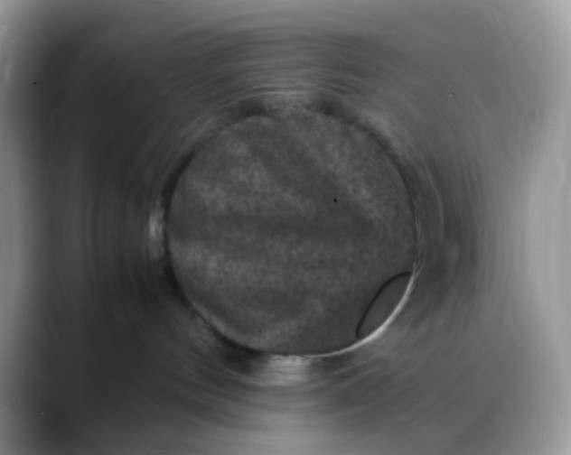 X0000088190144200705292020