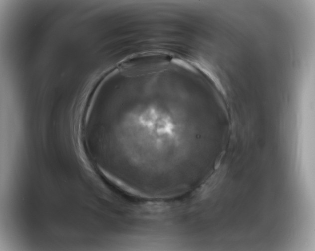 X0000088190145200705292019