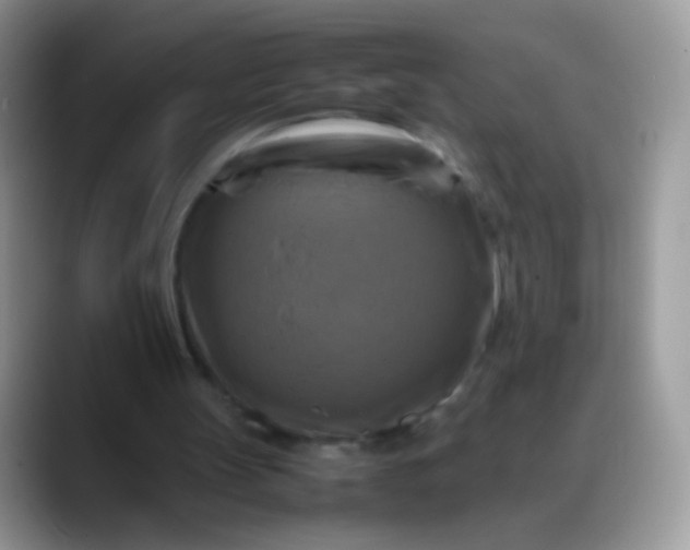 X0000088190147200705292019