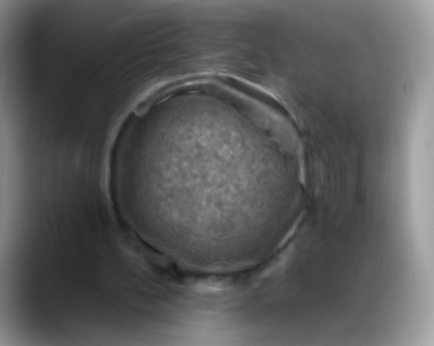 X0000088190148200705292019