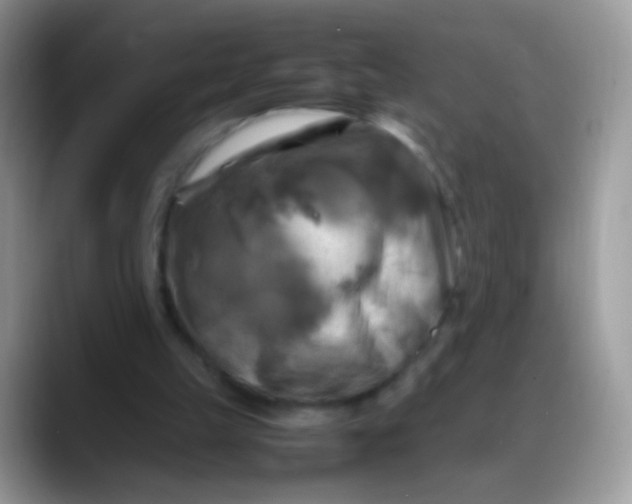 X0000088190149200705292019