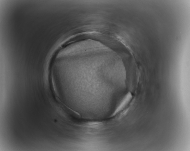 X0000088190150200705292019