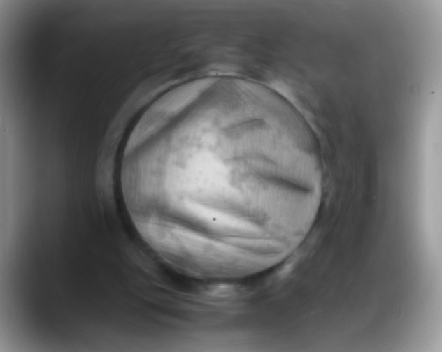 X0000088190151200705292019