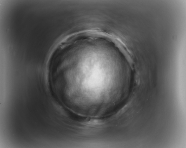 X0000088190152200705292019