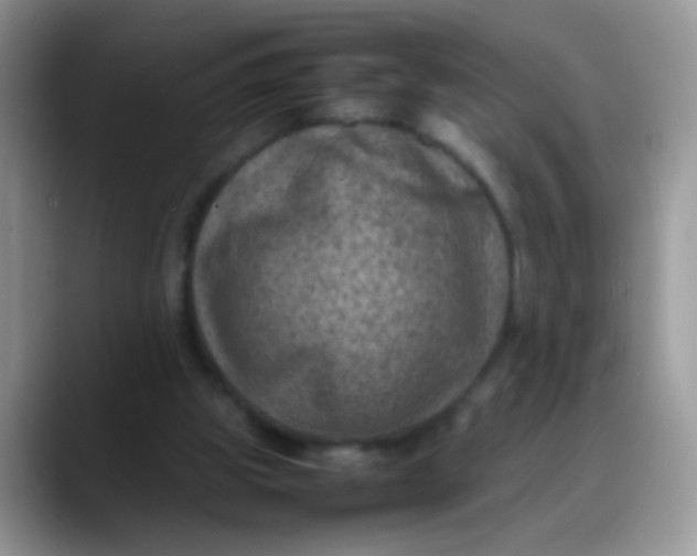 X0000088190153200705292019