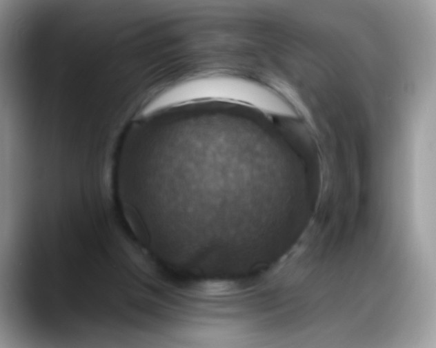 X0000088190154200705292019