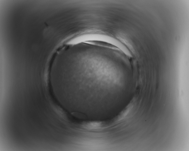 X0000088190156200705292019