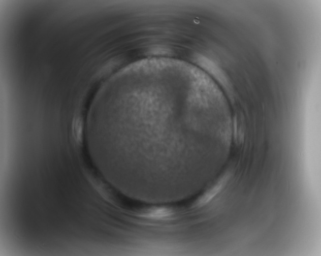 X0000088190157200705292019